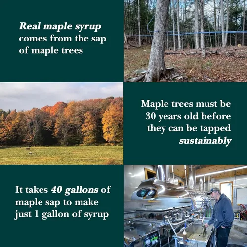 Miniatura 4 de Vermont Maple Syrup - Jarabe de arce orgánico delicado dorado de 64 oz grado A - Jarabe de arce 100% puro y auténtico para panqueques, waffles y más