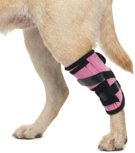 Miniatura 8 de Kuoser Soporte de pierna de perro pequeño, envoltura de compresión para patas delanteras y traseras, rodillera ajustable para perro, soporte