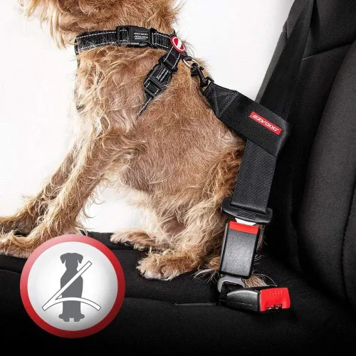 Miniatura 2 de EzyDog Arnés para perro sin tirones con placa en el pecho, arnés a prueba de escapes con costuras reflectantes y acolchado cómodo para paseos