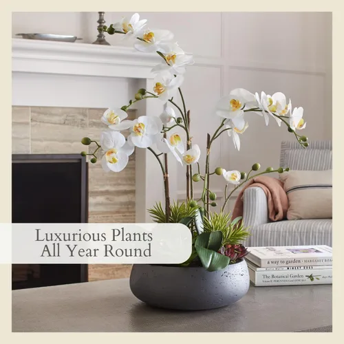 Miniatura 5 de CG Hunter Planta de orquídea sintética con suculentas, soporte de exhibición de flores artificiales de alta calidad para interiores de 23 pulgadas