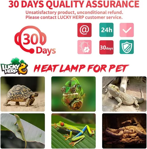 Miniatura 7 de LUCKY HERP Lámpara de Calor Infrarroja 50W Paquete de 2, Bombillas de Luz de Punto de Sol para Reptiles y Anfibios, Bombillas de Lámpara de Calor