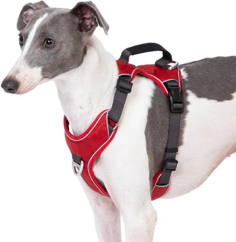 Arnés para perro sin tirones con 2 clips para correa, chaleco reflectante, ajustable y acolchado, clips delanteros y traseros fáciles de caminar