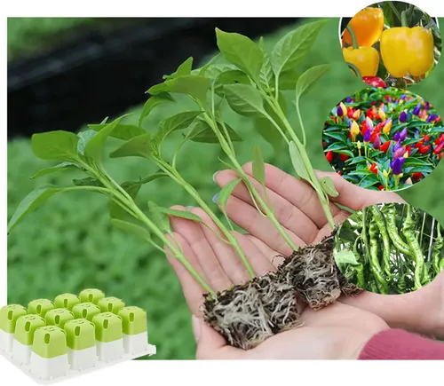 Miniatura 5 de 5 bandejas de inicio de semillas, iniciador de semillas de silicona con células emergentes (60 células en total), bandejas de cultivo de plantas