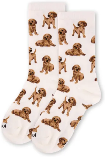 Miniatura 2 de MeMoi Golden Retriever - Calcetines de bambú