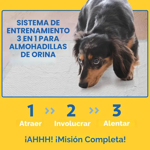 Miniatura 6 de OUT! Petcare Almohadillas para cachorros XXL, resistentes, a prueba de fugas para orina de perros, entrenamiento para ir al baño y deshabituación