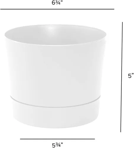Miniatura 5 de Root & Vessel Majestic Mid-Century - Maceta cilíndrica moderna de perfil bajo, color blanco mate, 6.5 pulgadas