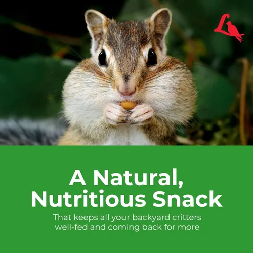 Miniatura 8 de Lyric Alimento para Vida Silvestre para Ciervos, Ardillas, Pavos y Conejos, Semillas para Pájaros Silvestres para Comederos Exteriores, Bolsa de 10
