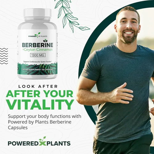 Miniatura 2 de Suplemento de berberina pura, 1300 mg de berberina con canela de Ceilán para el metabolismo y el apoyo del sistema inmunológico, 1 paquete de 180