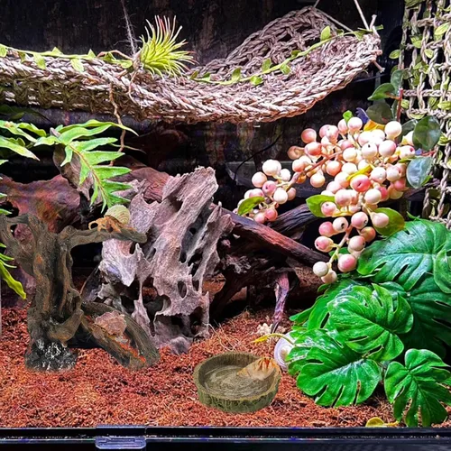 Miniatura 5 de Rainmae Juguete de cangrejo ermitaño de resina, 4.1 x 2.2 x 4.7 pulgadas, cueva trepadora y oculta, adorno natural para tronco de árbol