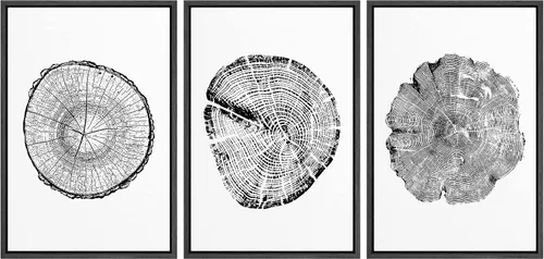 Miniatura 157 de wall26 Lienzo enmarcado para pared, juego de arte impreso con collage de polígonos en espiral negro y tostado, ilustraciones de patrones abstractos
