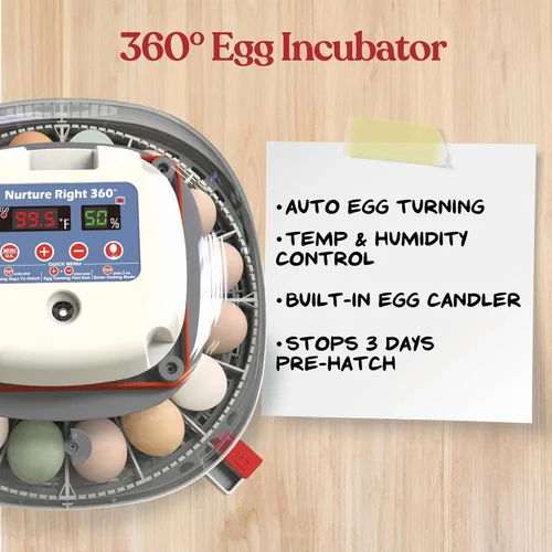 Miniatura 4 de Incubadora de huevos Harris Farms Nurture Right para incubar pollitos, con capacidad para 12-22 huevos, con volteador automático y control