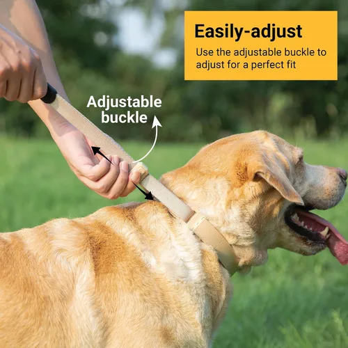 Miniatura 5 de SVD.PET Collar de punta para perro para entrenamiento sin tirones, hebilla de liberación rápida ajustable para perros pequeños