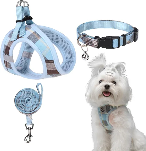 Miniatura 7 de EXPAWLORER Arnés Clásico de Plátanos para Cachorros - Juego de Arnés y Correa para Perros Pequeños - Juego de Collar y Correa para Perros con Azul