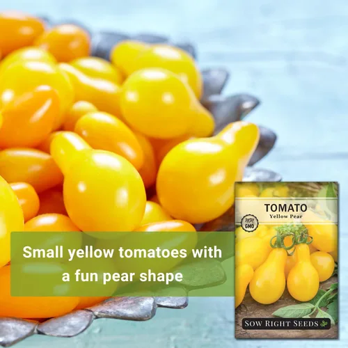 Miniatura 3 de Sow Right Seeds - Semillas de tomate de pera amarilla para plantar - Paquete de reliquia sin OMG con instrucciones para plantar un huerto casero