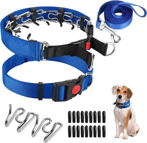 Miniatura 19 de Collar de entrenamiento de puntas con puntas cómodas y hebilla de cierre rápido – Collar de pellizco para perro con cubierta de nailon