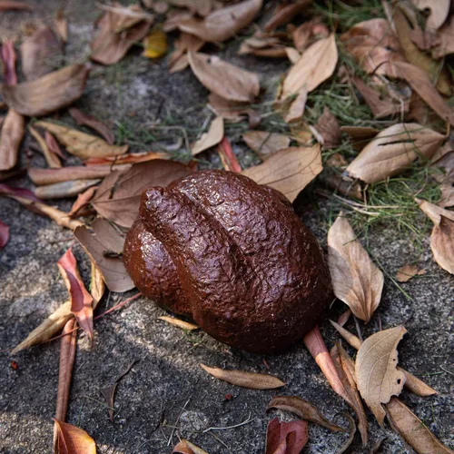 Miniatura 7 de Fake Rock – Aspecto de piedra – Caja de seguridad oculta para exteriores, caja de almacenamiento secreta para llaves, ocultador de llaves de piedra