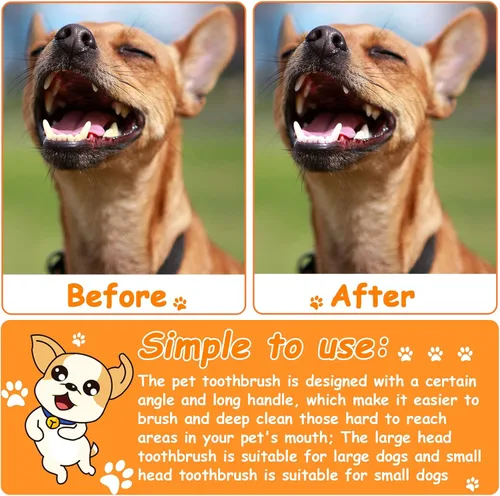 Miniatura 6 de Honeydak Cepillo de dientes para perros, cepillos dentales de doble cabeza, kit de cepillado de dientes para perros, cepillo de dientes de mango