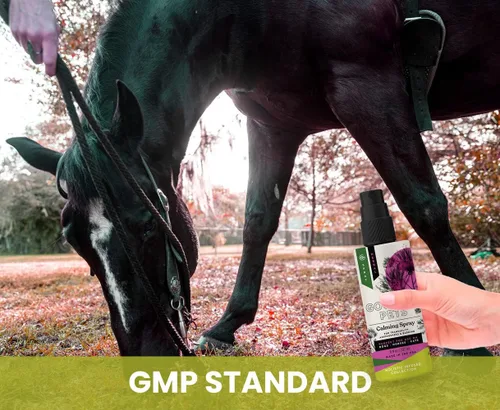 Miniatura 8 de Aerosol calmante holístico natural derivado para la ansiedad para mascotas: proporciona alivio del estrés: recomendado por veterinarios, fabricado