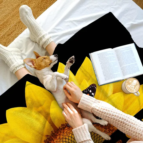 Miniatura 3 de Regalos cristianos para mujeres, regalos religiosos para mujeres, mantas cristianas para mujeres de fe, manta de girasol Biblia Dios dice que eres