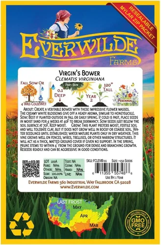 Miniatura 2 de Everwilde Farms - Semillas de flores silvestres nativas Virgin's Bower de 1 onza - Gold Vault