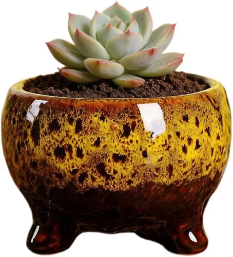 Miniatura 45 de Bonita maceta circular de cerámica para decoración del hogar y jardín, suculentas, cactus, maceta no incluida (azul, 3.19 pulgadas)
