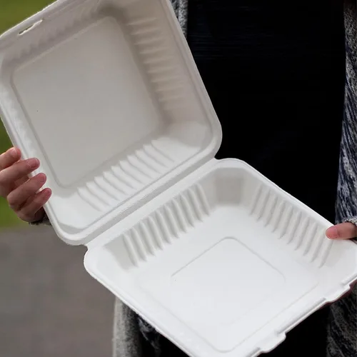 Miniatura 5 de Contenedores biodegradables para llevar de 9 pulgadas, paquete de 100, cajas compostables para llevar con tapa con bisagras integrada