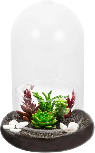 Miniatura 7 de 2 cúpula de cristal Cloche con orificio de aire y base, terrario de vidrio transparente, cúpula de humedad para plantas pequeñas, decoración de mesa
