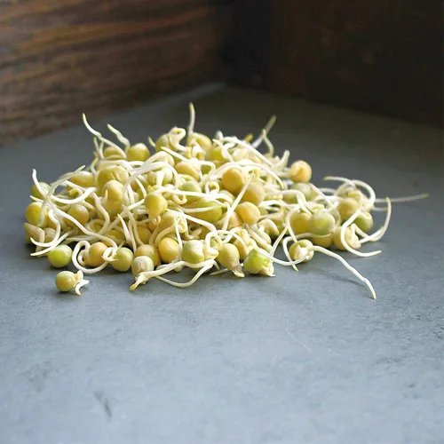 Miniatura 3 de Handy Pantry Brand - Semilla de germinación de guisantes verdes, 8 onzas, guisante verde para brotes, plantación de jardín, cocina, sopa