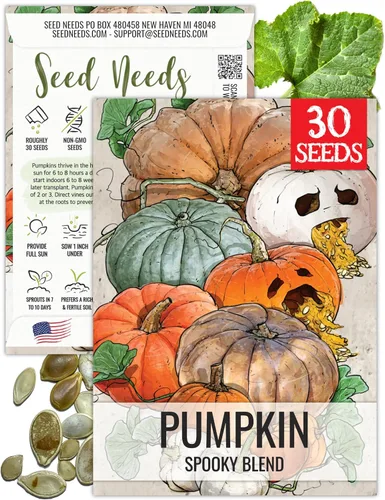 Miniatura 28 de Seed Needs, Jack O' Lantern - Semillas de calabaza – 25 semillas tradicionales para plantar Cucurbita Pepo – Sin OMG y sin tratar, ideal para tallar