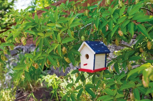Miniatura 3 de Toysmith - Beetle & Bee - Paint A Bird Base – Juego de manualidades de bricolaje para niños, para exteriores, de casa para pájaros, de 5.25 x 7 x