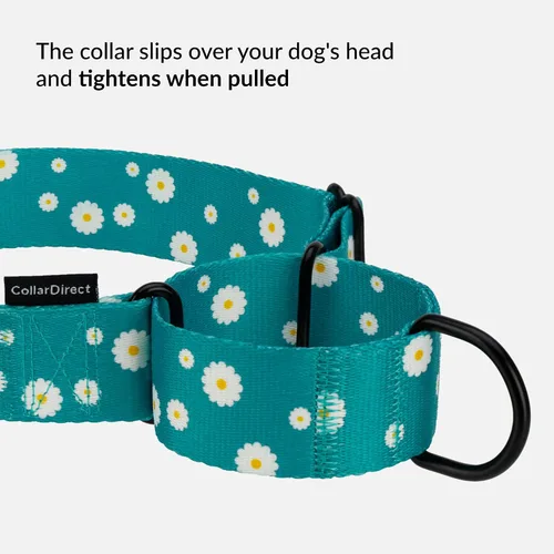 Miniatura 3 de CollarDirect Martingale - Collar de nailon resistente para perros pequeños, medianos y grandes [nailon, estampado, aguamarina, L, 15-20 pulgadas)