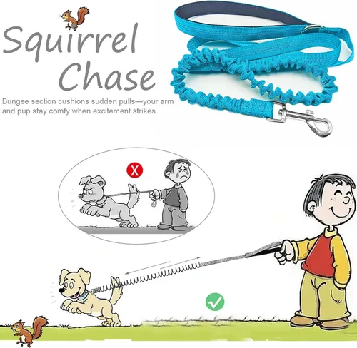 Miniatura 5 de Correa elástica para perro, correa de nailon reflectante y absorbente de golpes de 5 pies, entrenamiento antitirones para perros pequeños/medianos