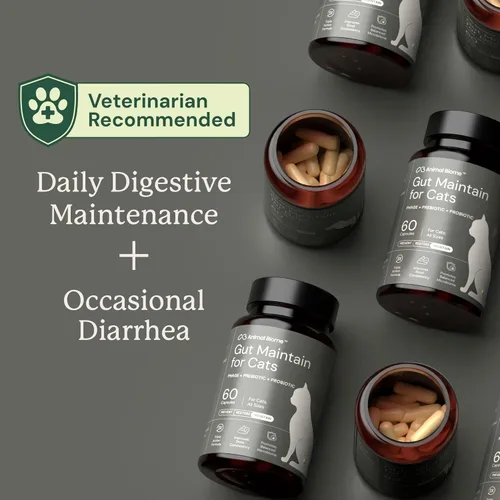 Miniatura 7 de AnimalBiome KittyBiome - Probióticos para gatos con S Boulardii (30 cápsulas) KittyBiome - Mantenimiento intestinal de triple acción fago