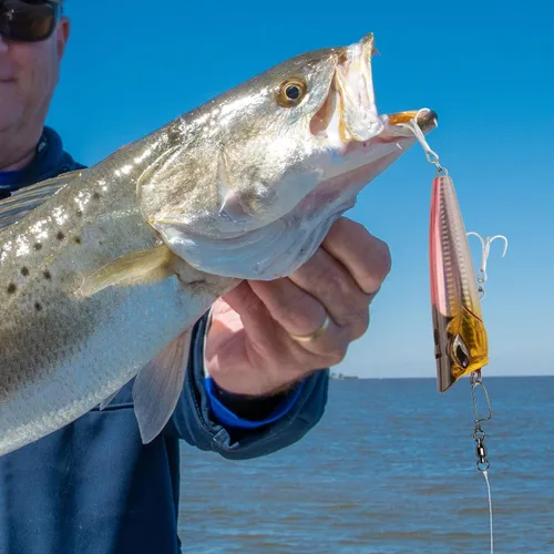 Miniatura 7 de Alwonder Paquete de 20 rodamientos de bolas giratorios con broches de presión, broches de pesca, giratorios de agua salada, aparejos de pesca