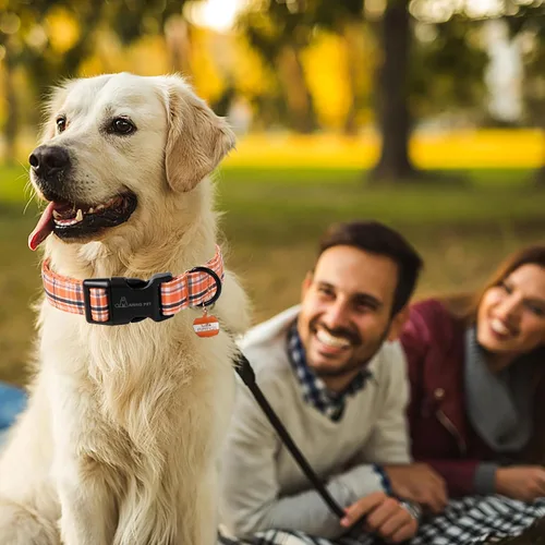 Miniatura 107 de Aring Pet Collar de algodón, lindo, con hebilla de liberación rápida, para bodas, para perros pequeños, medianos y grandes, rosa Terciopelo rosa