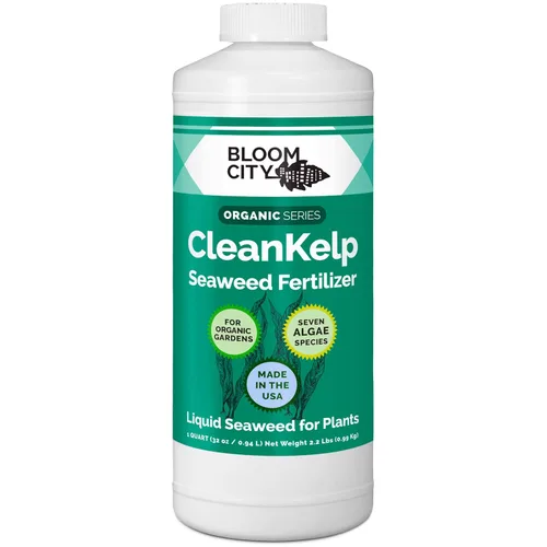 Bloom City Suplemento de Fertilizante Líquido Orgánico de Algas Marinas y Kelp, Cuarto de Galón (32 oz) Concentrado Rinde 180 Galones