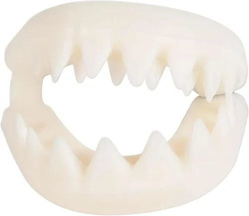 Miniatura 2 de Rhode Island Novelty Grandes dientes de tiburón blanco