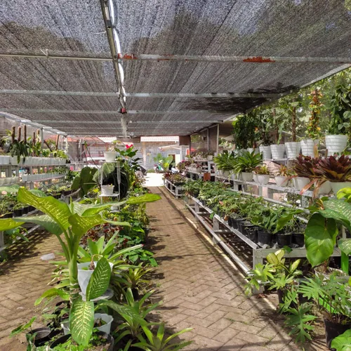 Miniatura 3 de VICLLAX Tela de Sombra de Jardín Negra al 50% Tela de Sombra Solar - Cubierta de Sombra Solar con Protección UV para Plantas, Exteriores