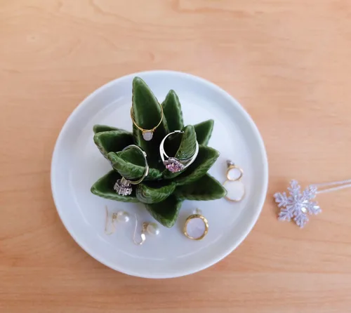 Miniatura 3 de PUDDING CABIN Soporte para anillos de aloe, plato para anillos de cactus, bandeja para joyas para anillos, aretes, collar, regalo de Navidad