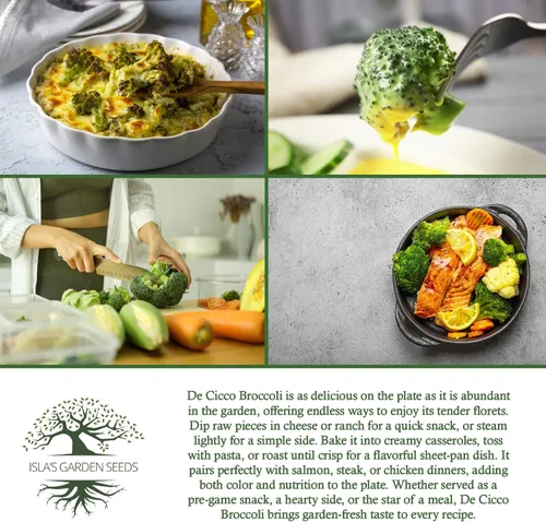Miniatura 6 de De Cicco - Semillas de brócoli (Brassica oleracea), más de 300 semillas sin OMG y reliquias de Isla's Garden Seeds, reliquia italiana para cosechas