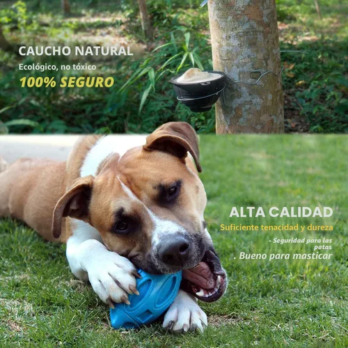 Miniatura 4 de EASTBLUE Juguetes para perros con sonido para masticadores agresivos: Bola de goma para cachorros con chirriador, juguete para mascotas casi