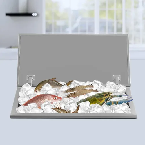 Miniatura 2 de PanDair - Cofre de hielo de acero inoxidable con tapa con bisagras, para interiores y exteriores, incluye tubo de drenaje y tapón de drenaje