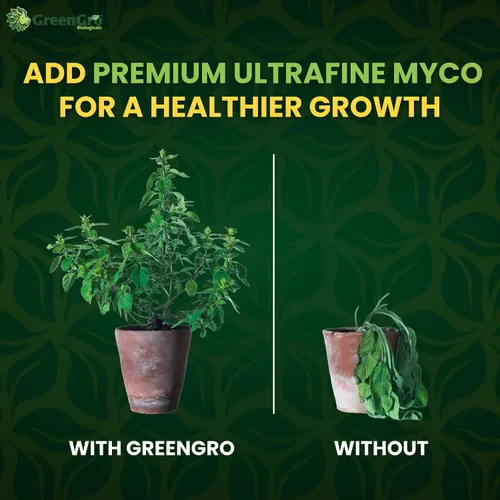 Miniatura 5 de GreenGro Premium Ultrafine Myco - Inoculante micorrícico y potenciador de raíces soluble en agua de cepas superiores, mejora la absorción
