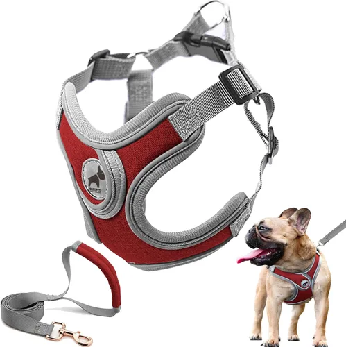 Miniatura 5 de Arnés para perro con juego de correa, arneses para cachorros con acolchado transpirable para entrenamiento y carrera de perros pequeños (XS, gris)