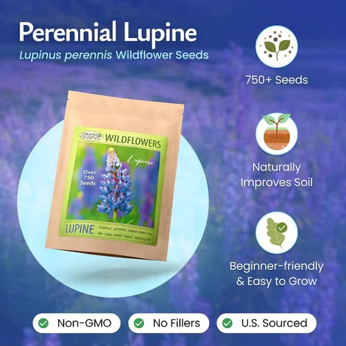 Miniatura 2 de Created by Nature Blue Lupine Seeds, 750 semillas de flores silvestres perennes