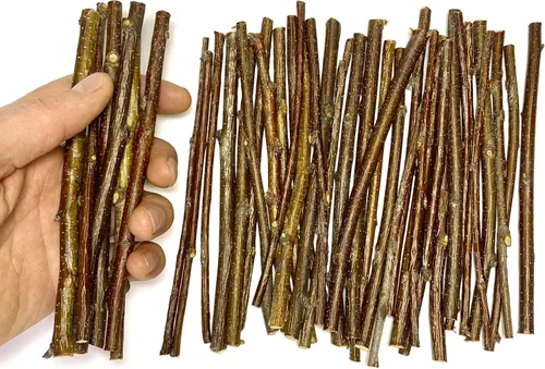 Miniatura 14 de ECOVENIK 25 piezas – Ramas – 28.7 in, ramitas de abedul natural, paquete de 20-25 tallos, largo para jarrones de suelo, (color marrón natural)