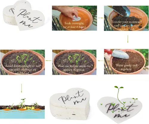 Miniatura 3 de 50 Papel de Flores Silvestres Plantables, Recuerdos Ecológicos en Forma de Corazón para Baby Shower para Invitados - Regalos Plantables para Bodas