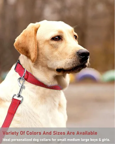 Miniatura 7 de Collar reflectante con hebilla para perro, ajustable, collares de seguridad de nailon para perros pequeños, medianos y grandes, color rojo, talla S