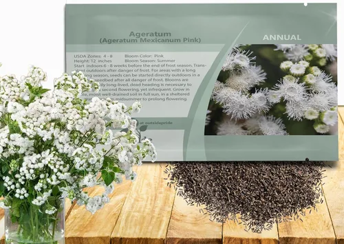 Miniatura 8 de Outsidepride Blue Ageratum Seeds - 5000 semillas anuales de flores para plantar con flores vibrantes y peludas, fáciles de cultivar y tolerantes a