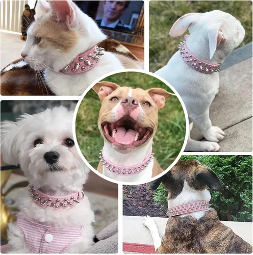 Miniatura 4 de Collar de perro y gato con púas pequeñas y medianas para perros pequeños y medianos, hembras – Collar ajustable con tachuelas – Collar de cuero punk